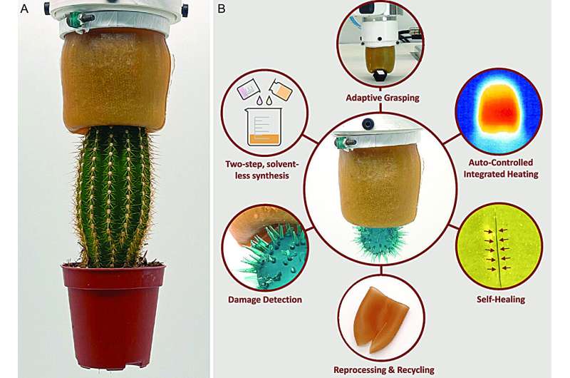 Self-healing robotic gripper could be the future of sustainable soft robotics